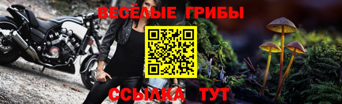 Бошки Шишки Усинск