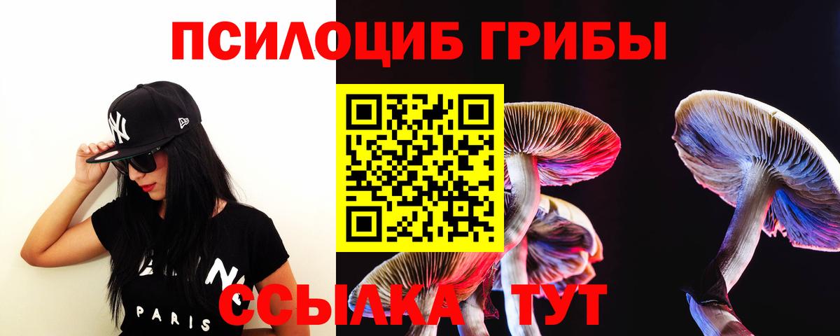 Галлюциногенные грибы Psilocybine cubensis  Вход с VPN  Усинск 